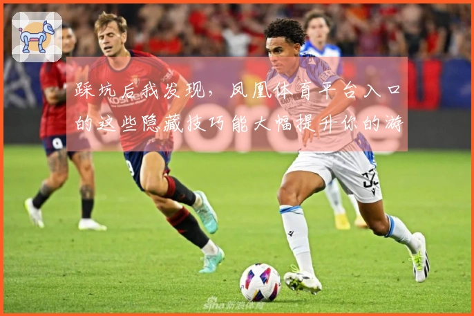 踩坑后我发现，凤凰体育平台入口的这些隐藏技巧能大幅提升你的游戏体验