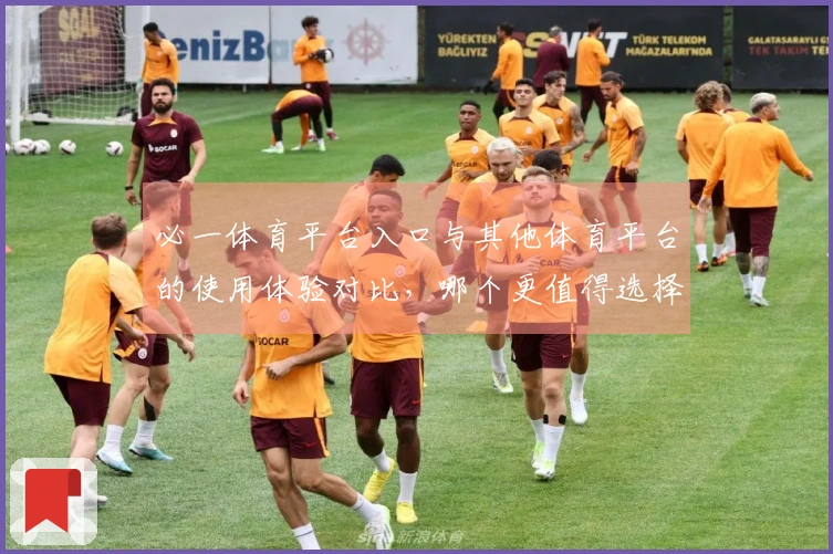 必一体育平台入口与其他体育平台的使用体验对比，哪个更值得选择？